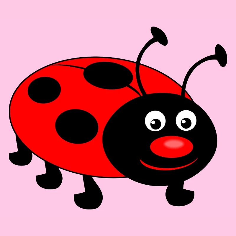 ladybug