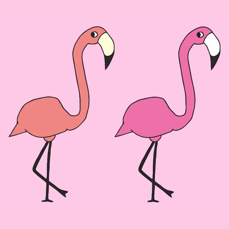 flamingo freunde