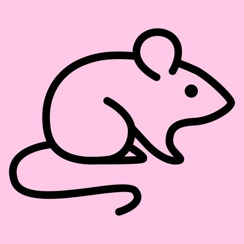 souris