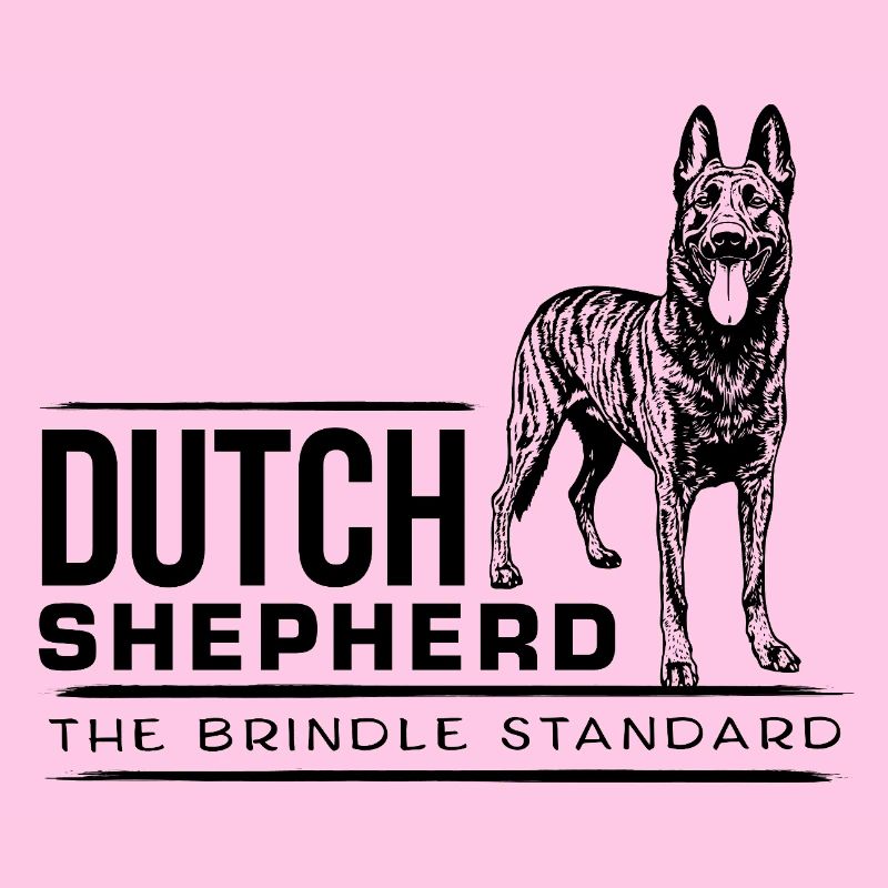 Dutch Shepherd - Dutchie 