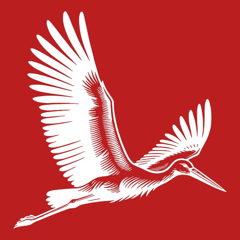 Flying Stork