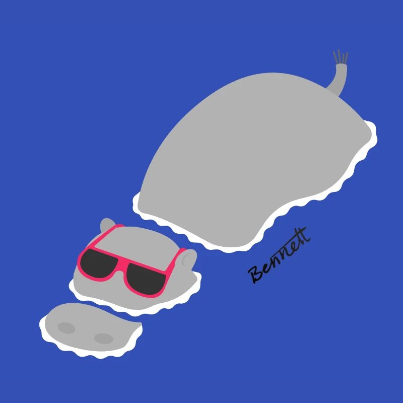 Chillin ‚Hippo