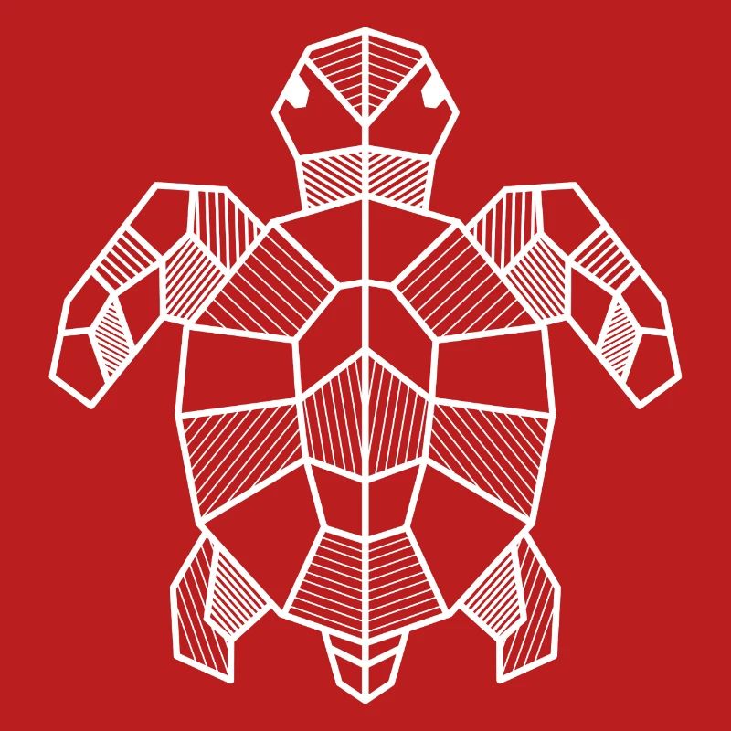Turtle Geometric Gift Triangle Hipster