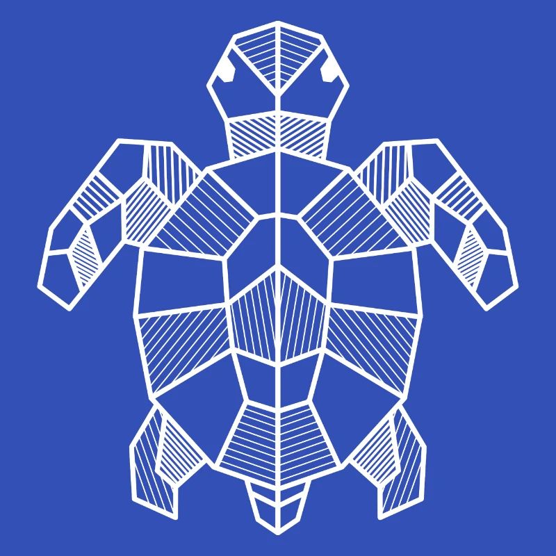 Turtle Geometric Gift Triangle Hipster