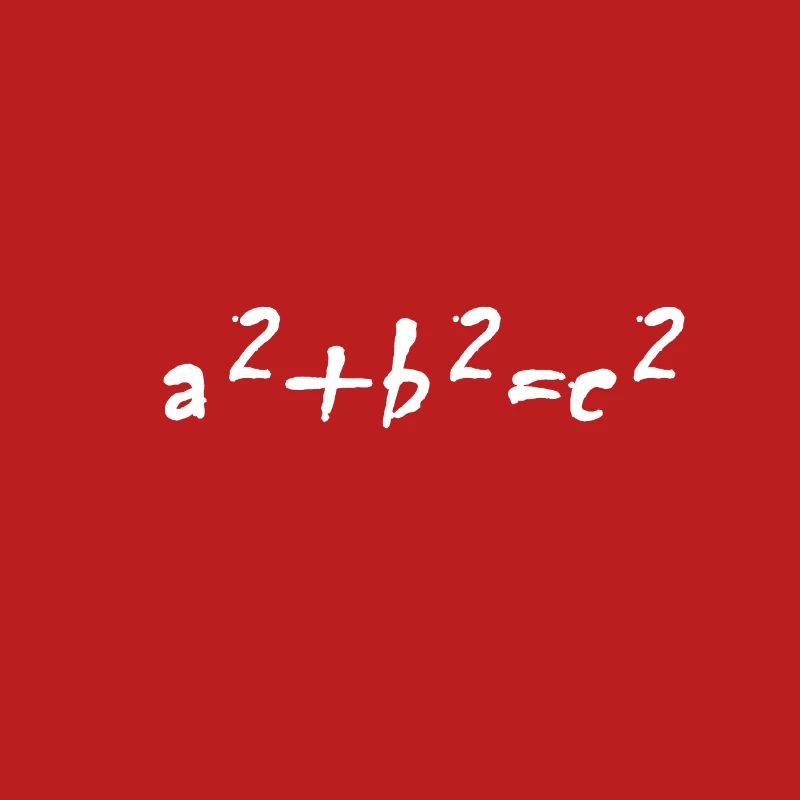 Funny math formula design teacher gift idea