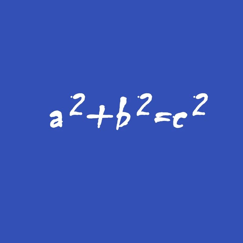 Funny math formula design teacher gift idea