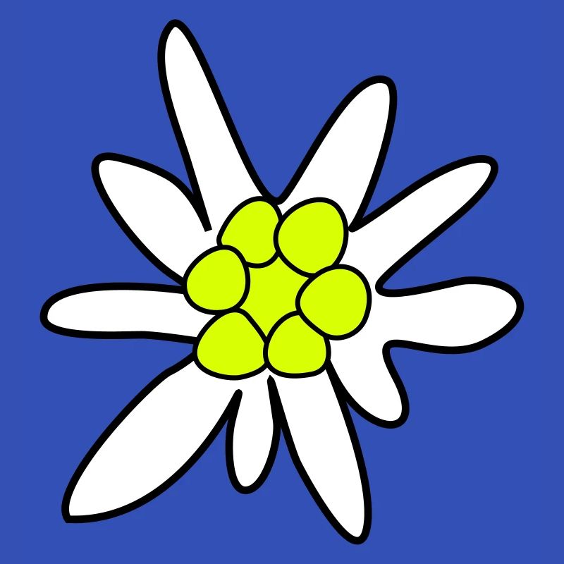Edelweiss, fleur