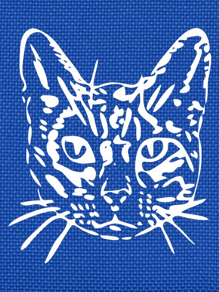 Katze, Mieze, Miezekatze, Geschenk, Geschenkidee