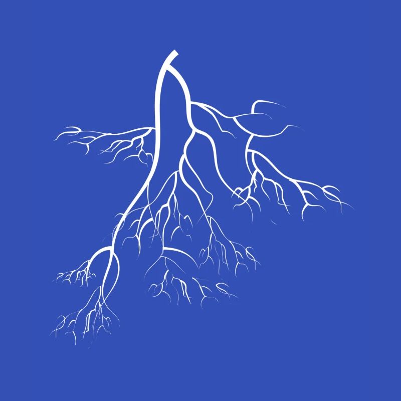 root