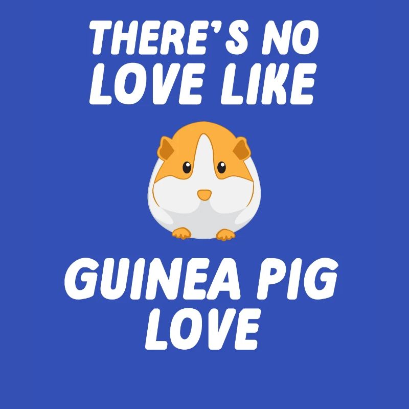 Cochon d'Inde - Cochon d'Inde - Amour