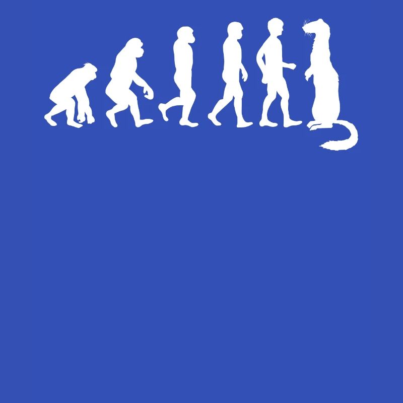 Frettchenfreund - Frettchen - Lustig - Evolution