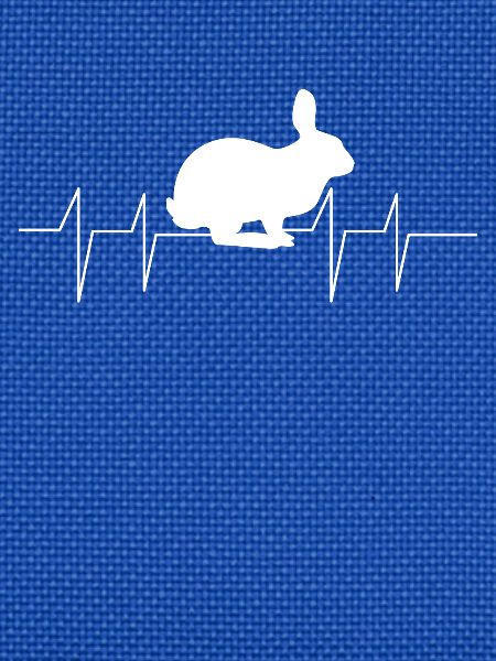 Hasen - Hase - Hasenbesitzer - Herzfrequenz