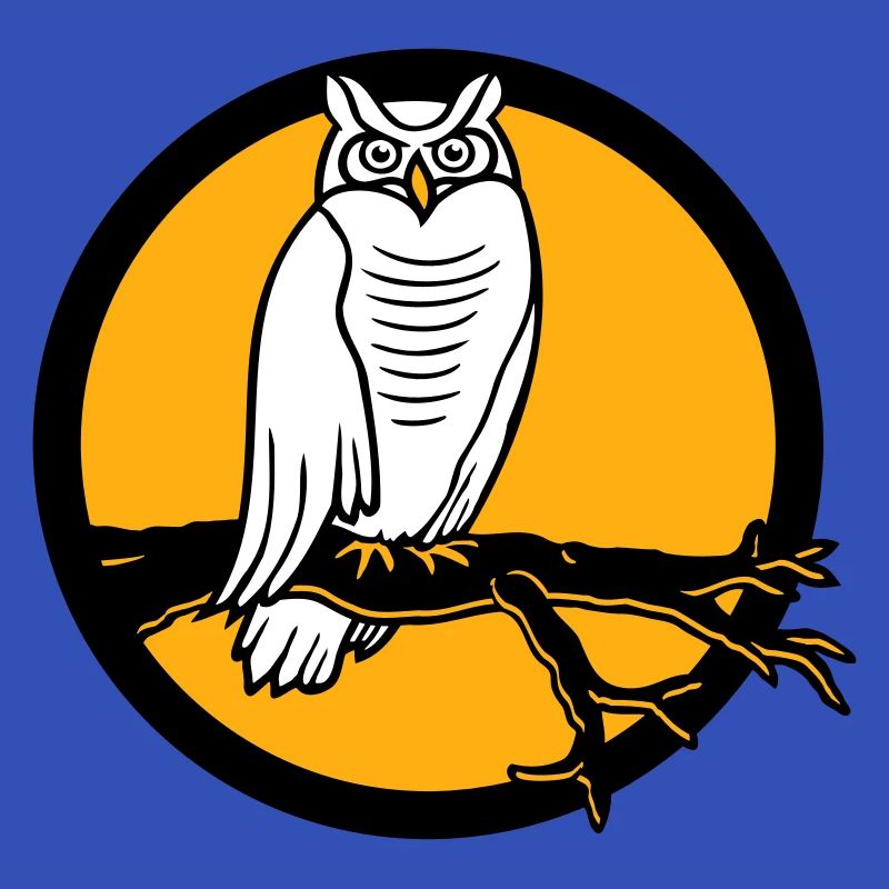 Owl Eagle Owl Branch Tree Forest Moon Night Full Moon Round
