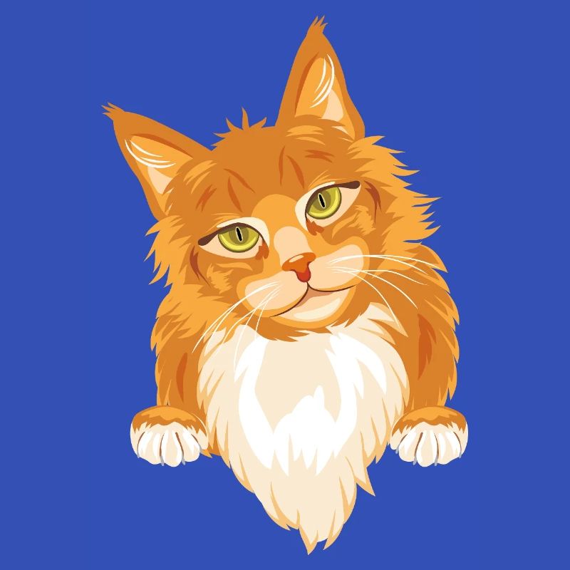 Chat roux timide et mignon