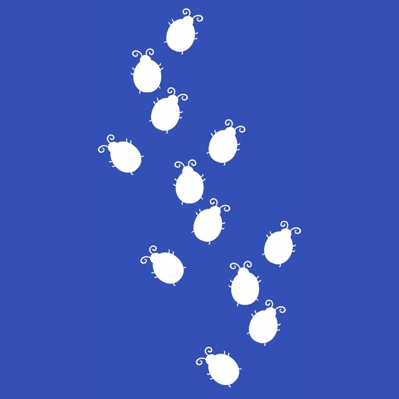 Bug Race