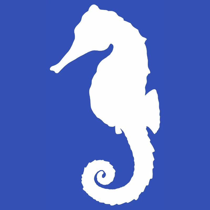 Hippocampe