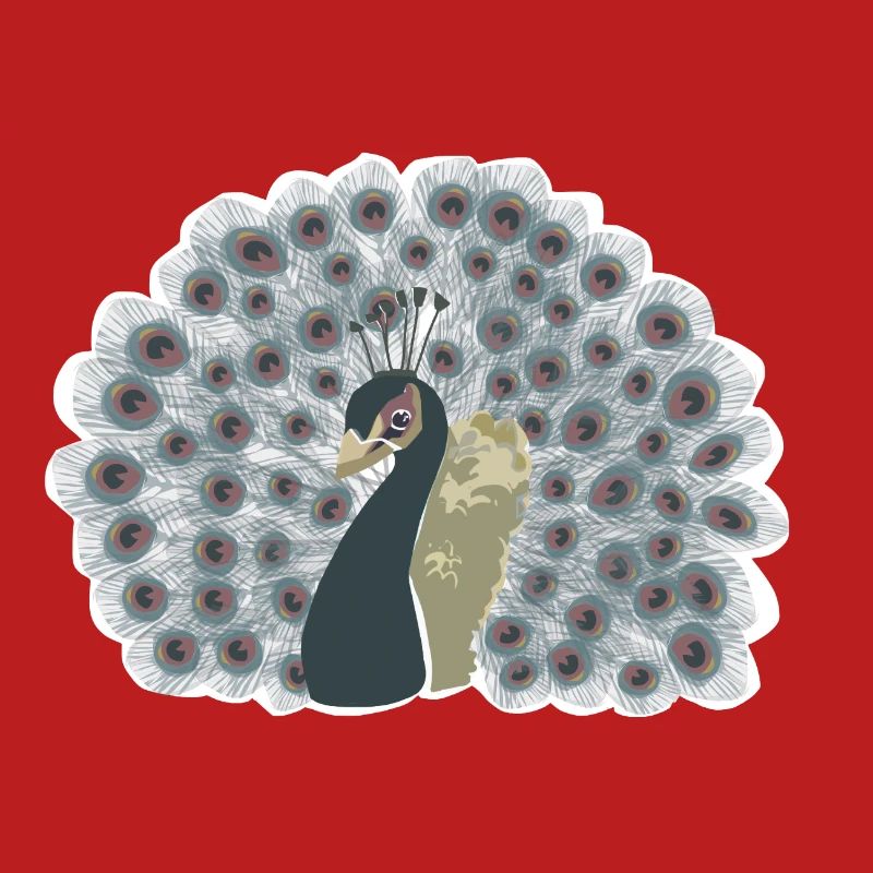 Pfau mit Rad