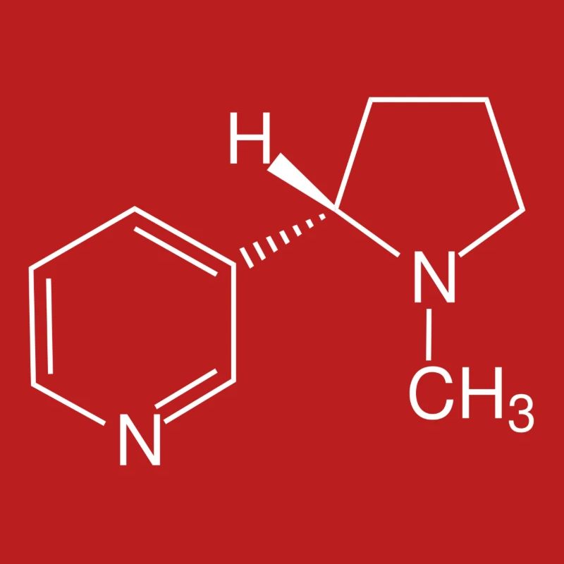 Nicotine structural formula