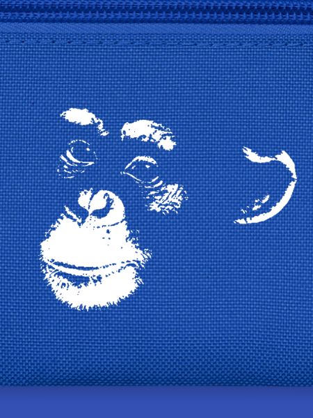 Schimpanse - Chimp - Chimpanzee