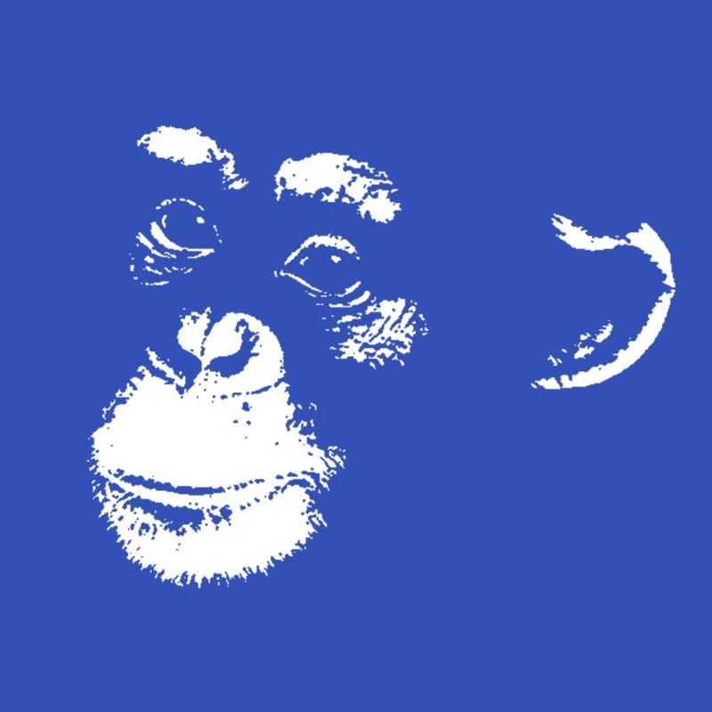 Schimpanse - Chimp - Chimpanzee