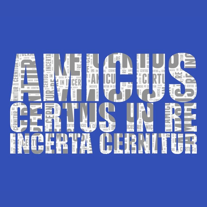 Amicus certus dans re incerta cernitur