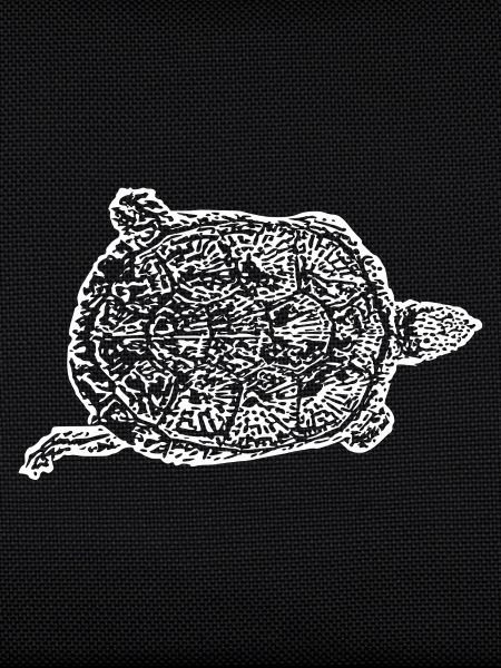 Turtle Turtles