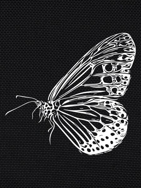 Schmetterling