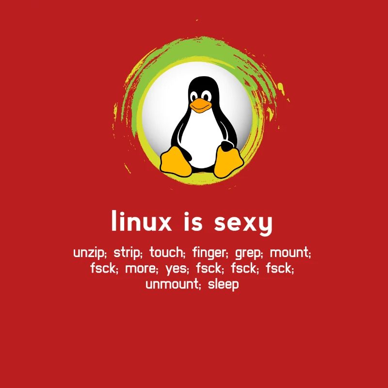 Computer System Pinguin Nerd pc inside code admin
