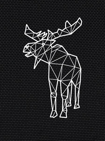 Moose polygon