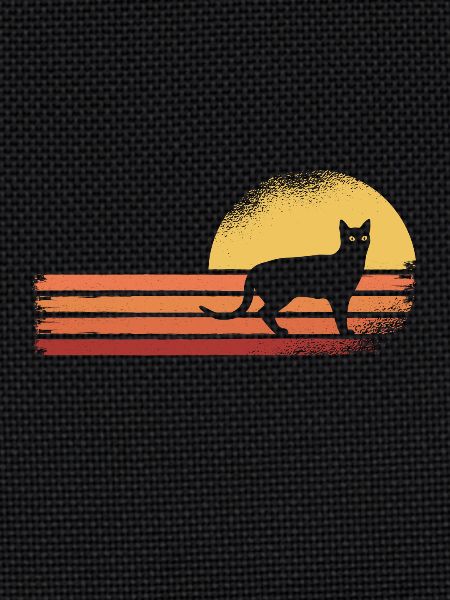 Black cat