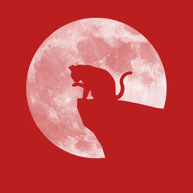 Mond Katze