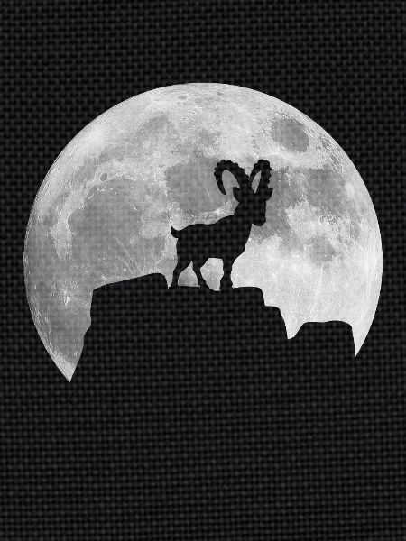 Mond Steinbock