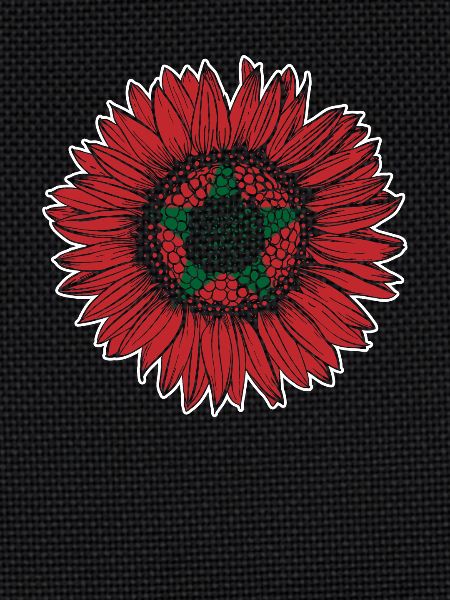 Morocco Flag Sunflower