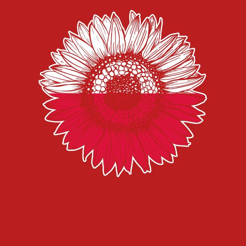 Pologne Drapeau Tournesol