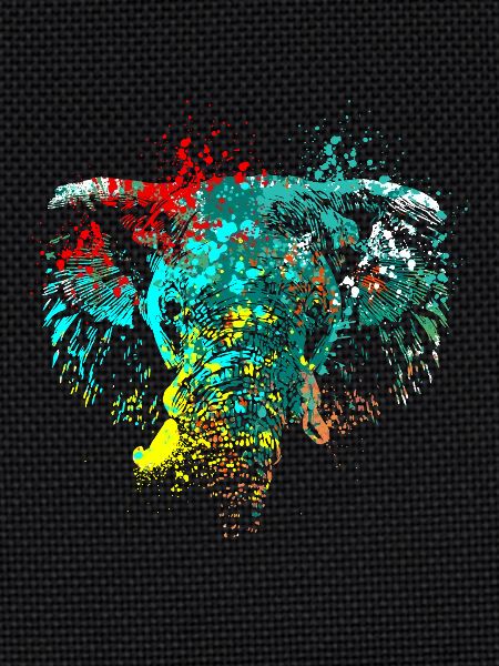 Splash Art Elephant Head