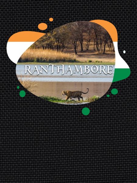 Souvenir de Ranthambore Inde