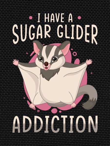 Sugar Glider Saying