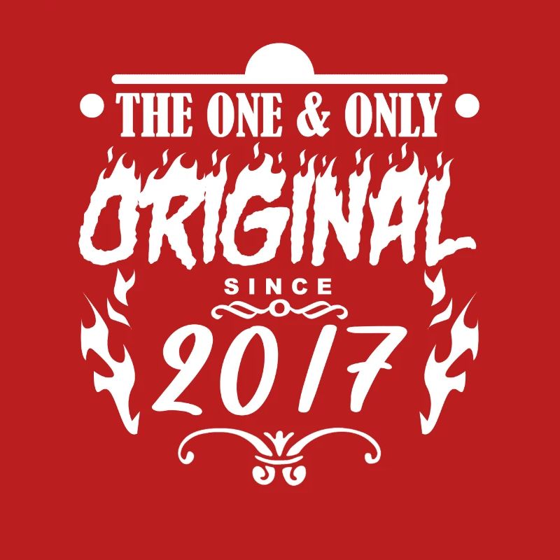 2017 - Année de construction 2017 - Année de construction 2017