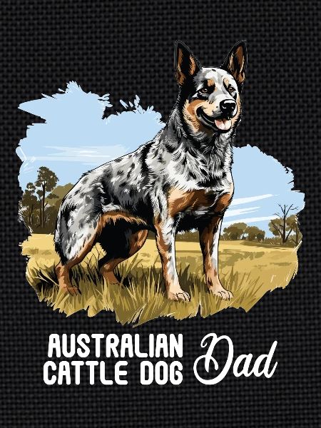 Hund Bouvier australien