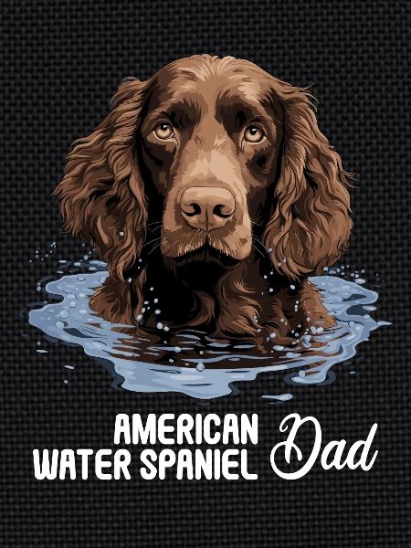 Dog American Water Spaniel