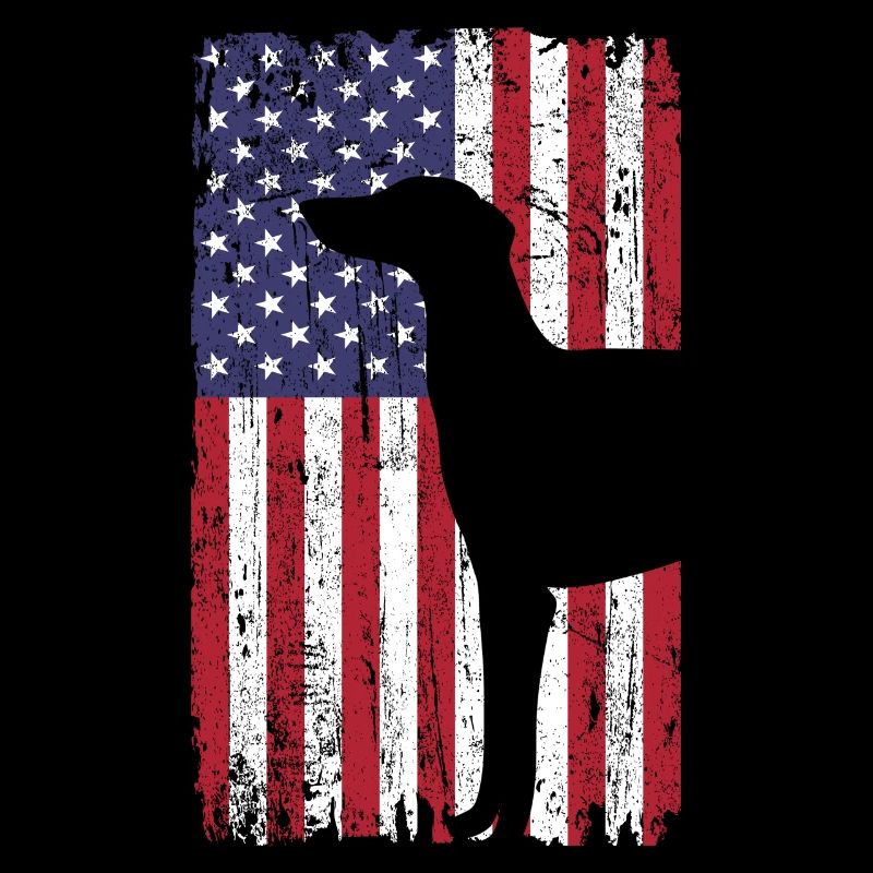 Chien lévrier avec drapeau des États-Unis