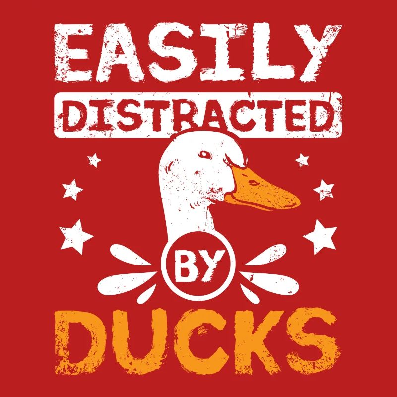 Pet pekin duck easily distracted by ducks