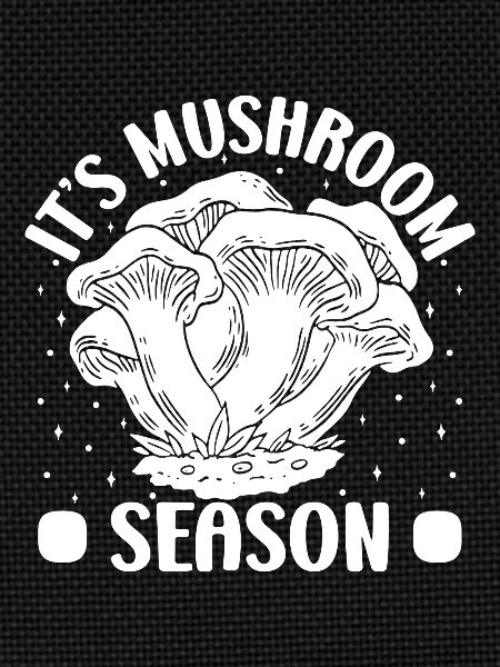 Morilles Champignons de saison