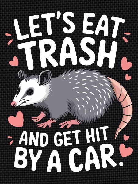 Opossum Possum Animal