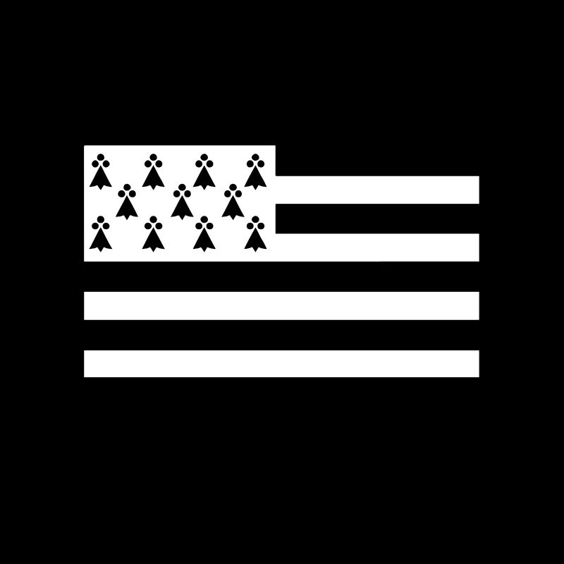 Breizh inside drapeau