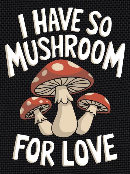 Champignons Champignons Champignon Champignon