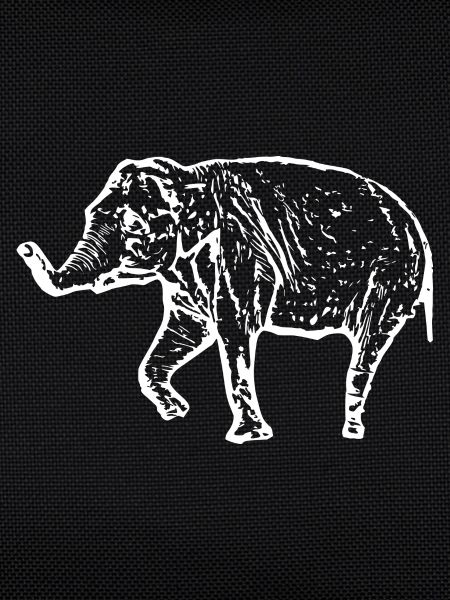Elephant white