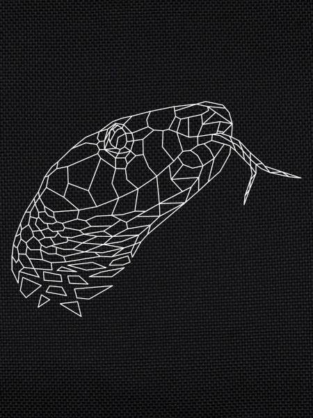 Snake geometric