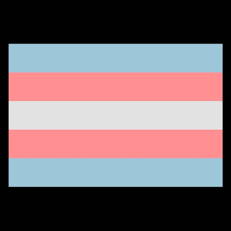 Transgender-Pride-Flag.