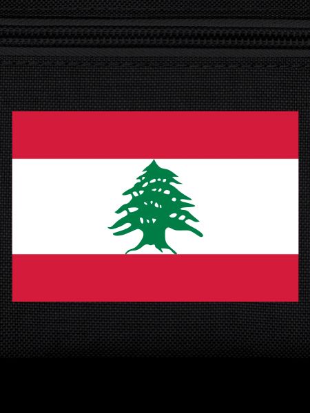 Drapeau national du Liban